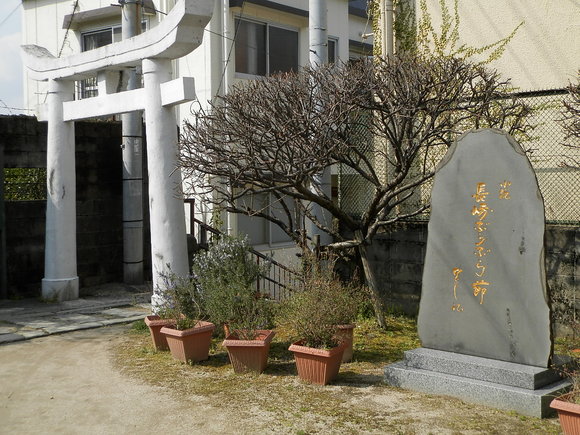 f0181793_1142831.jpg