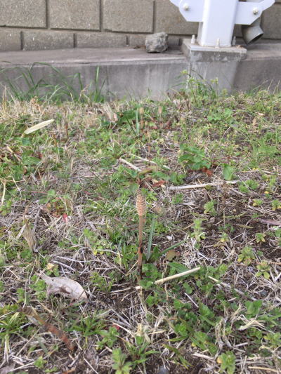 b0160300_23535958.jpg