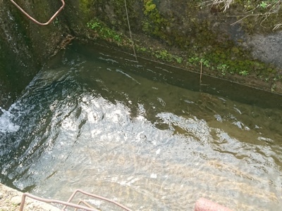 f0082402_19122825.jpg