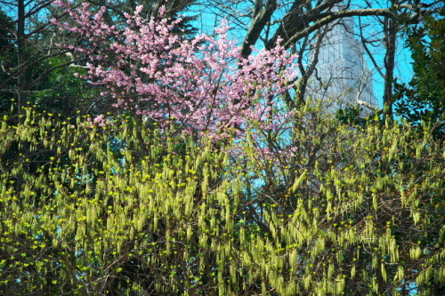 a0263109_19555507.jpg
