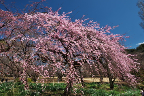 a0263109_20011965.jpg