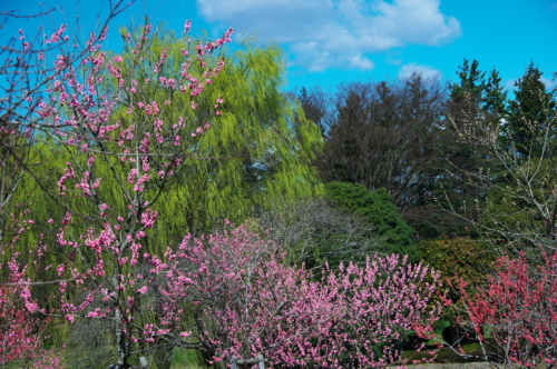 a0263109_21254276.jpg