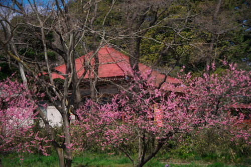 a0263109_21322595.jpg