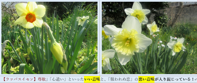 f0231709_2015221.png