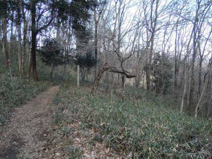 c0051112_10295677.jpg