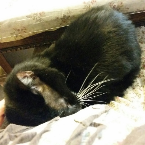 e0144012_10452247.jpeg
