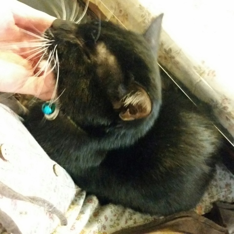 e0144012_10475060.jpeg