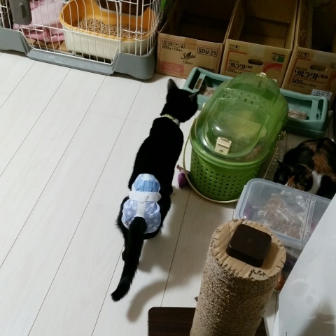 e0144012_11192616.jpeg