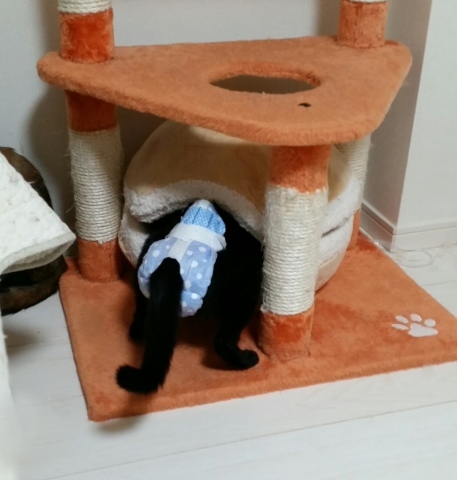 e0144012_11220797.jpeg