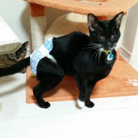 e0144012_11222657.jpeg