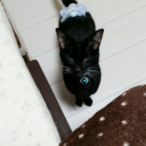 e0144012_11225697.jpeg