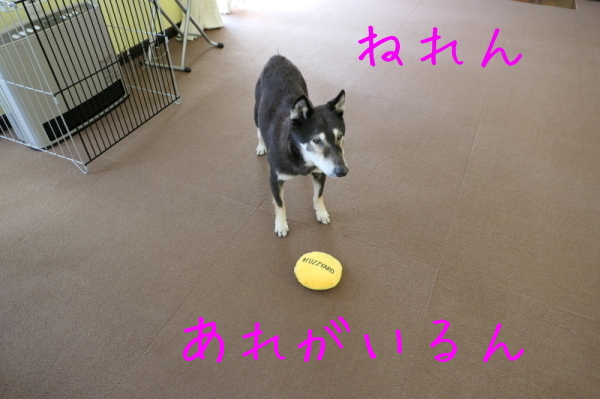 f0369014_15234798.jpg