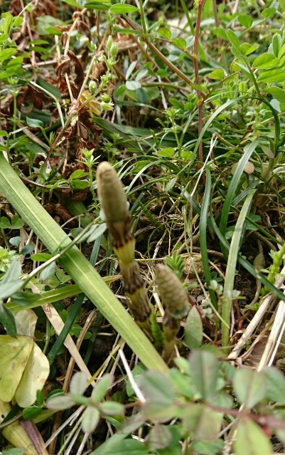 f0228619_17124136.jpg