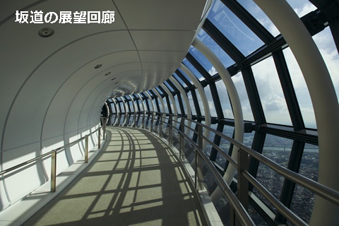 e0033229_20561830.jpg