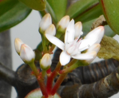 e0033229_21305289.jpg