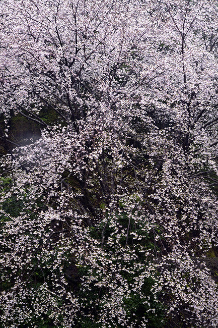 d0147530_9393086.jpg