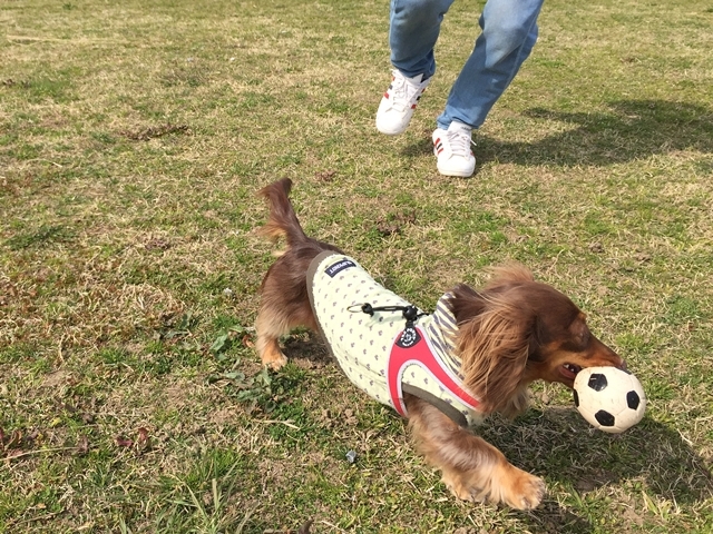 c0117831_23080187.jpg