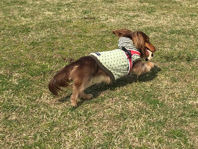 c0117831_23081447.jpg