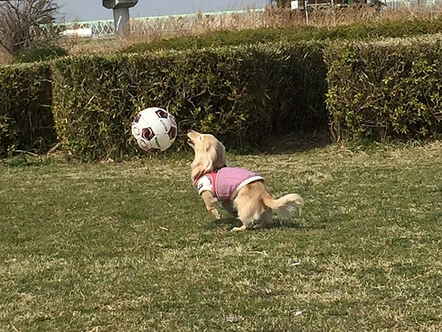 c0117831_23084707.jpg