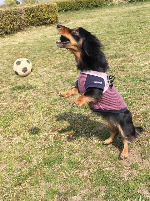 c0117831_23101280.jpg