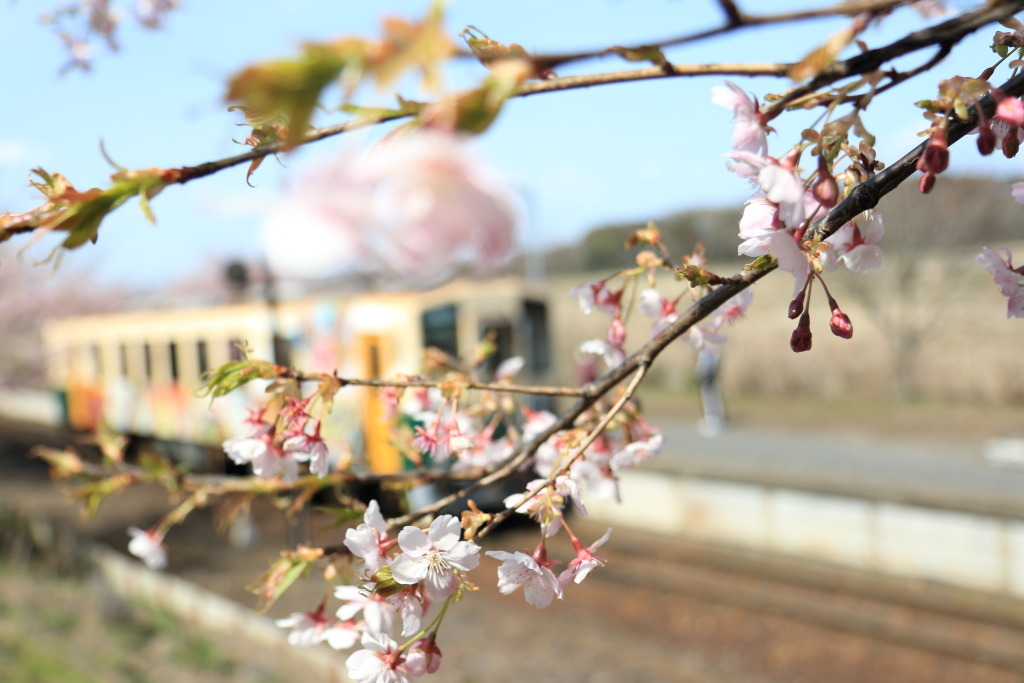 海浜鉄道　中根駅 - フェイズと写真と時々・・・！