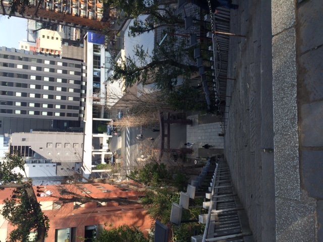 b0175335_1714889.jpg