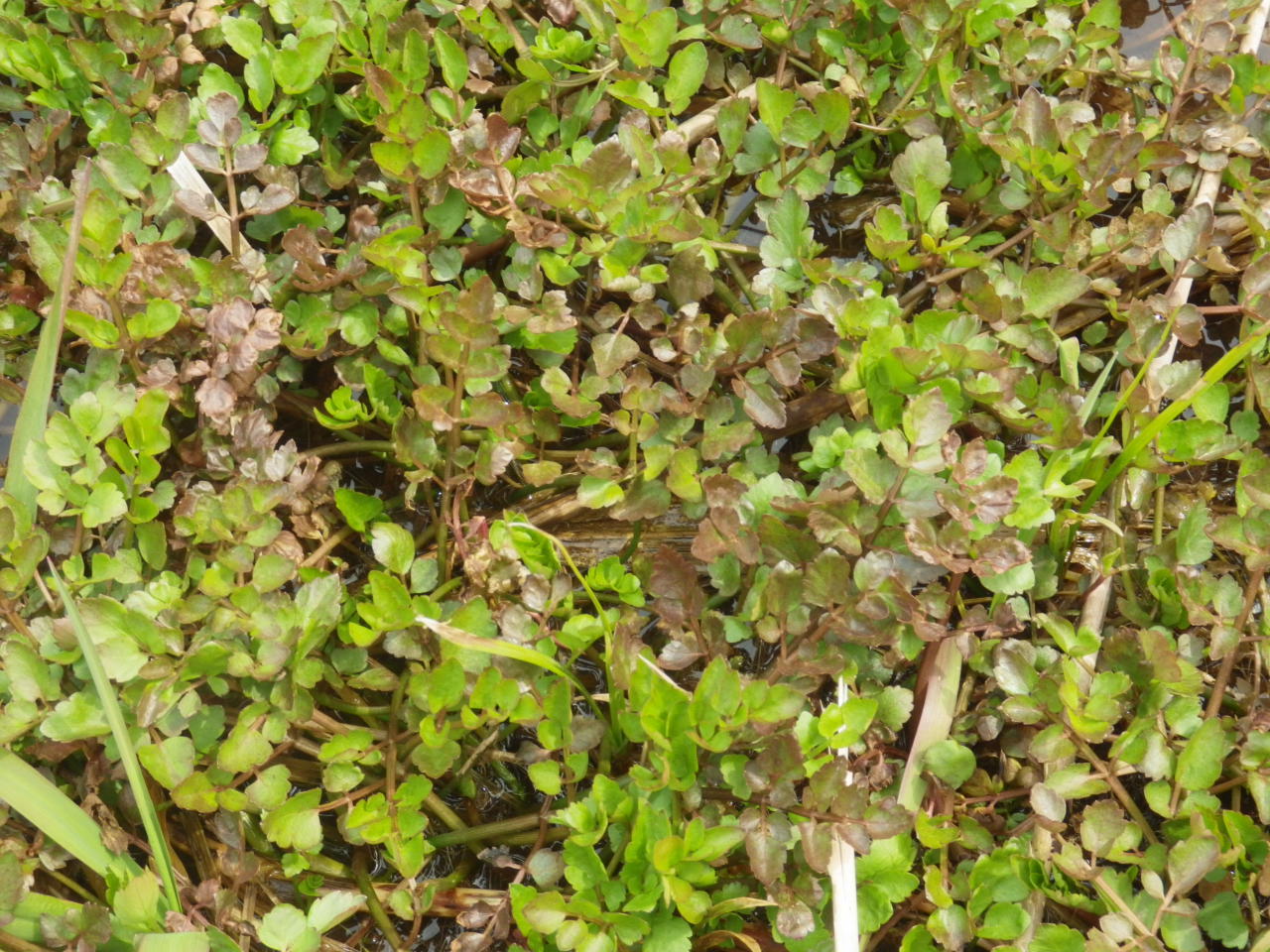 c0300035_09451359.jpg