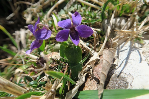 f0234936_75181.jpg
