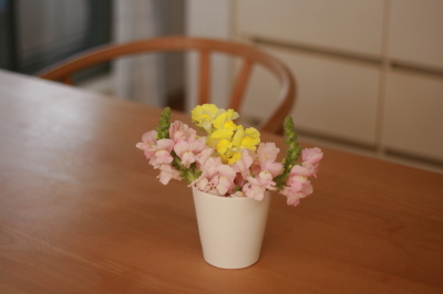 d0049238_22543589.jpg