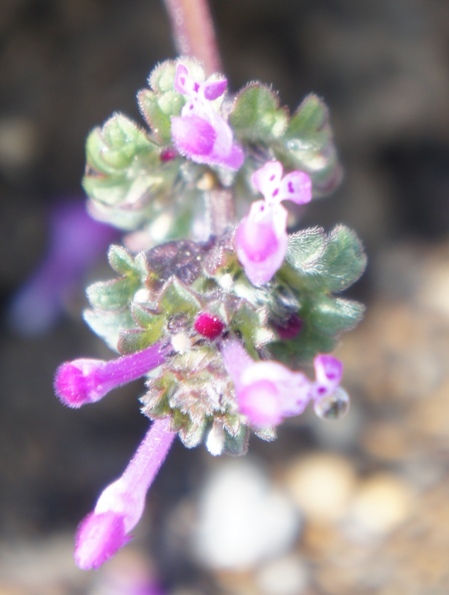 f0368538_11100171.jpg