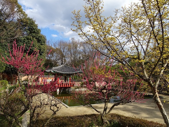 b0299042_15145761.jpg