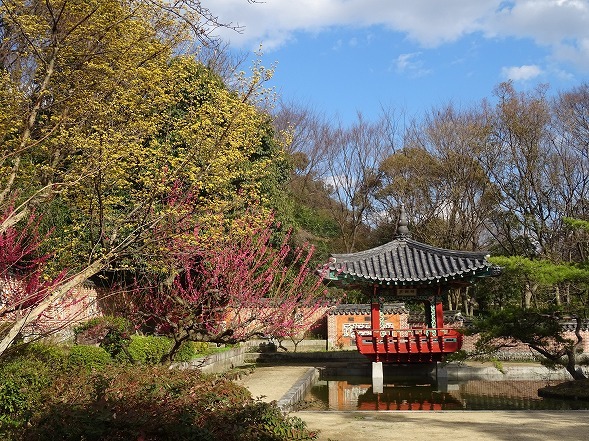 b0299042_15150369.jpg