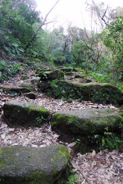 d0185744_18294740.jpg