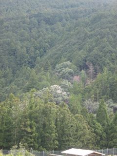 a0054948_22454279.jpg