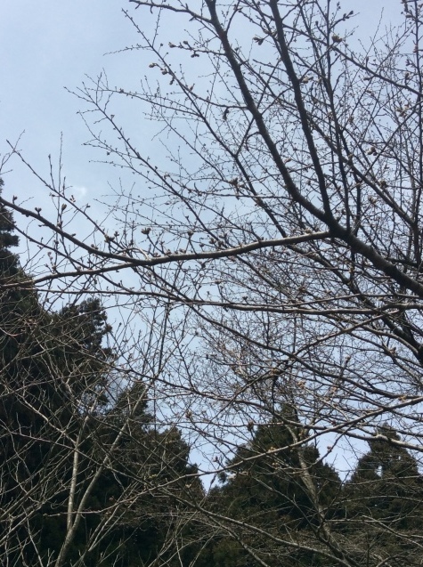 c0340351_18230577.jpeg