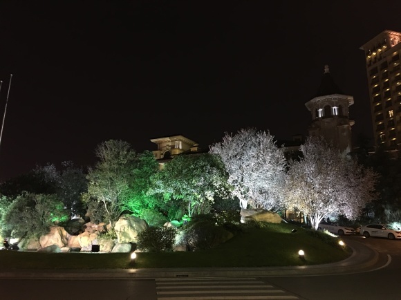 c0119952_23390904.jpg