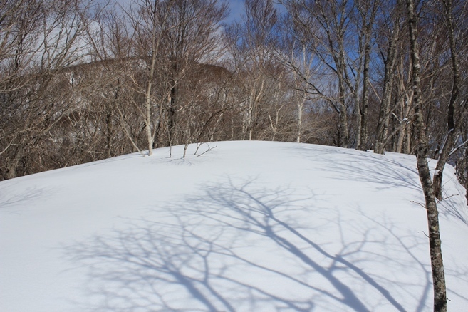 e0239458_20184349.jpg