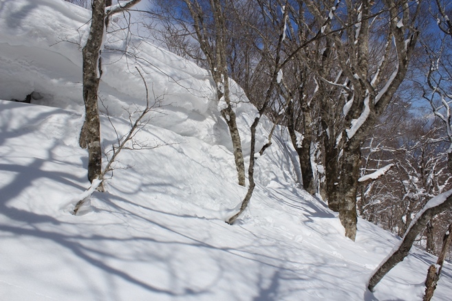 e0239458_20184357.jpg