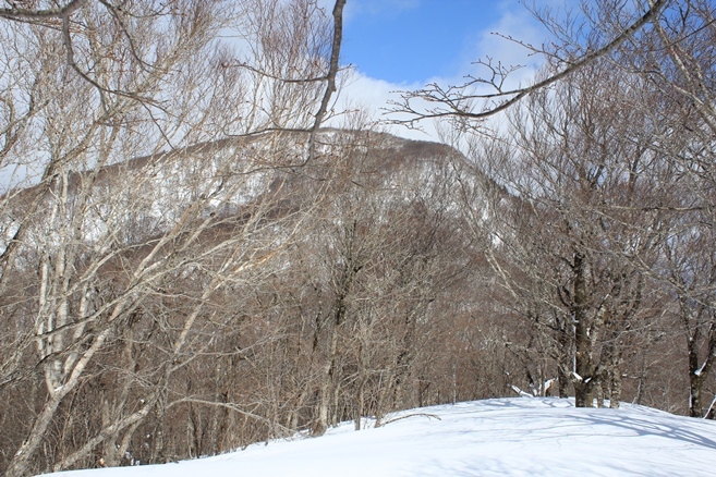 e0239458_20290562.jpg