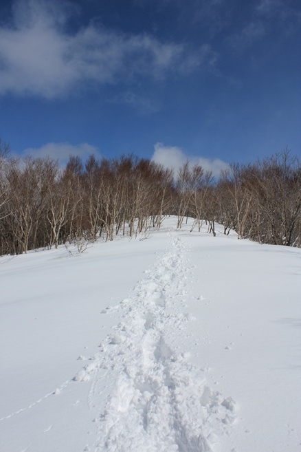 e0239458_20304518.jpg