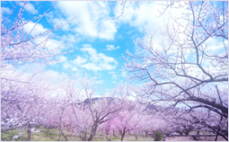 b0161073_1018256.png
