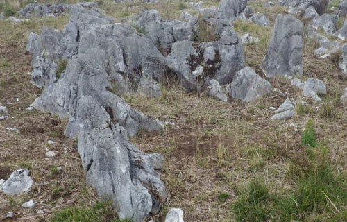 d0126573_21264791.jpg