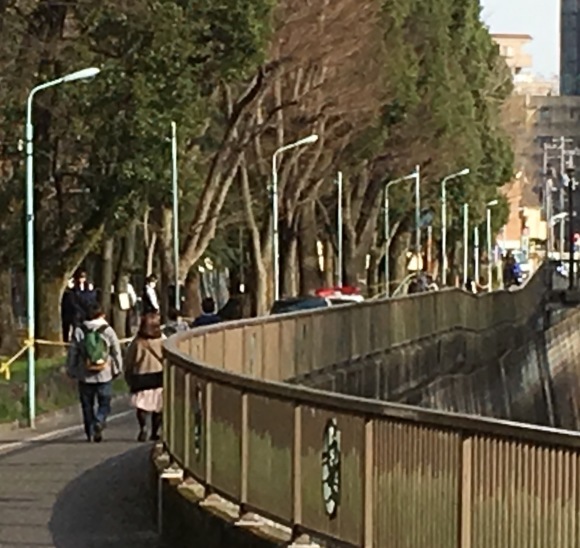 c0123890_20352425.jpg