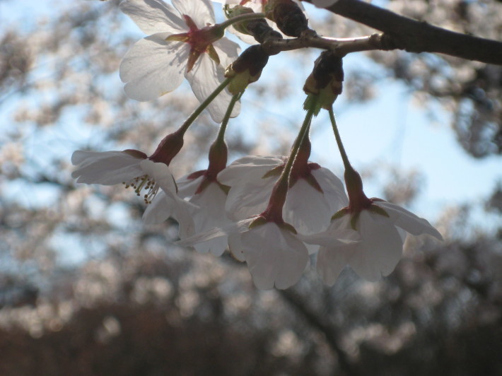f0201297_13590923.jpg
