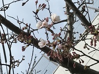 d0355200_12290468.jpg