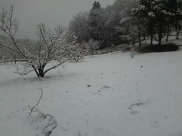 c0212604_8164875.jpg