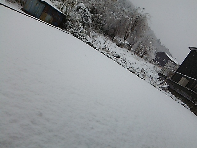 c0212604_8202649.jpg
