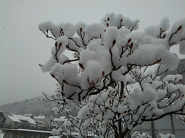 c0212604_894586.jpg
