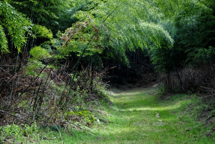 f0361605_21573931.jpg