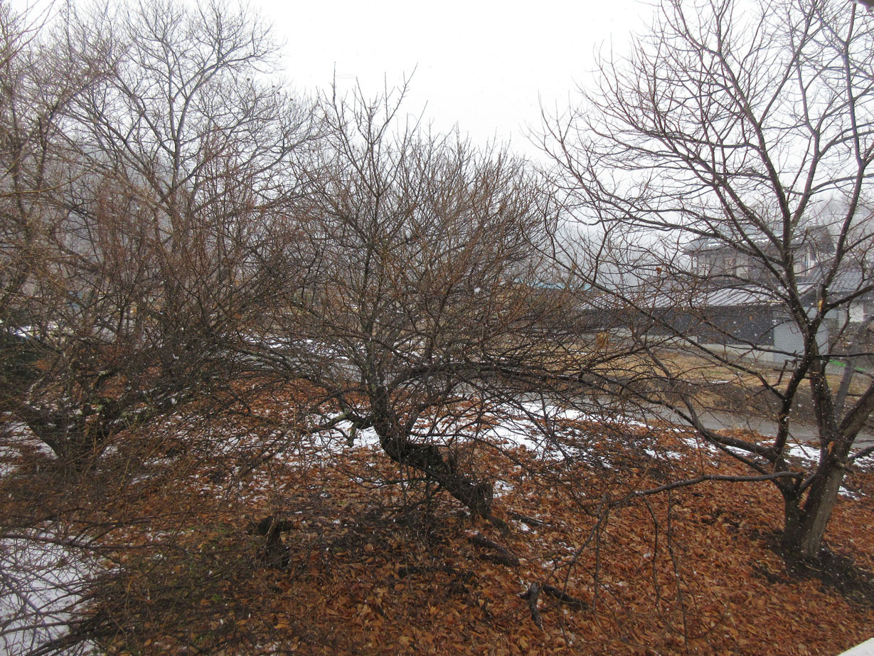 c0085508_22405071.jpg